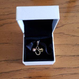 Lucky charm Pandora charm